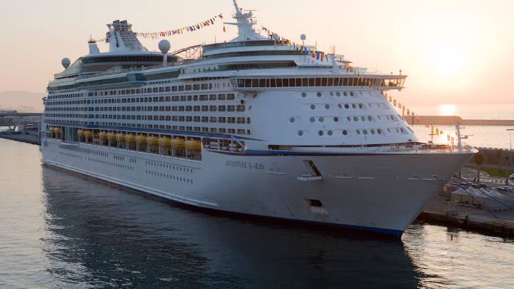 La mujer se da cuenta de que su perro se estresa volando y activa el plan "crucero de lujo" para trasladarlo