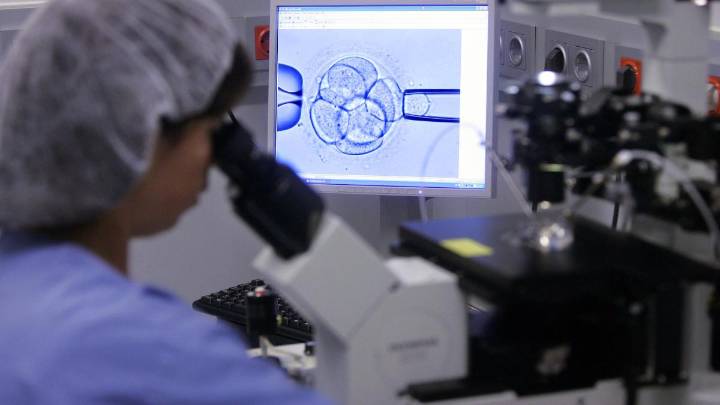 Las maternidades tardías solo crecen gracias a donación de óvulos jóvenes