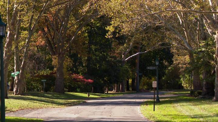 Ottawa Hills residents to vote on income tax increase for road improvements