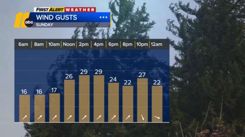 Warm and windy, shower chance Sunday evening