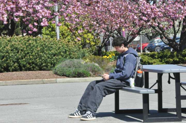 Sequim School Board hears results of electronic device surveys