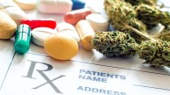 El Gobierno aprueba el uso medicinal de cannabis acotándolo al ámbito hospitalario