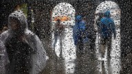 Heavy rain and 50 mph winds expected in WA this weekend