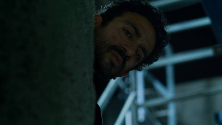 Neon's Big Five International Oscars Campaigns