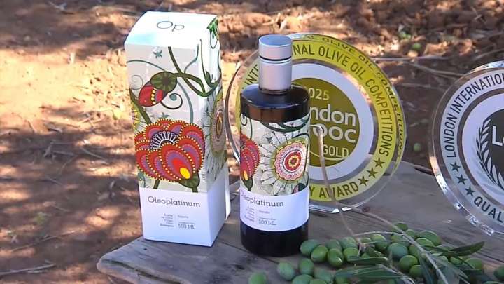 El aceite extremeño conquista Japón con una medalla de oro para Oleoplatinum