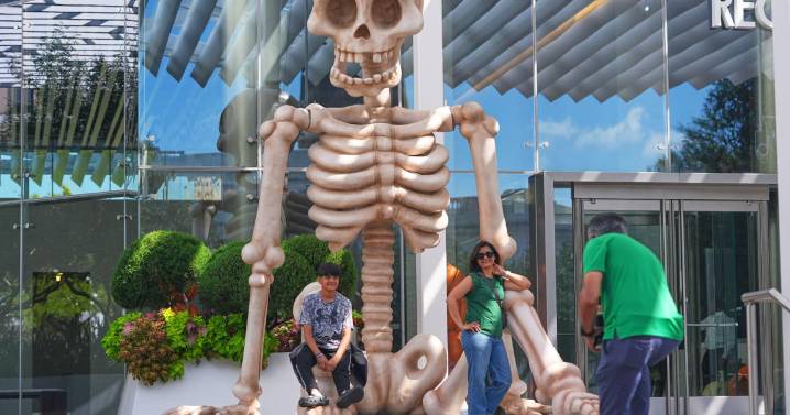 How Americans will be celebrating Halloween, according to a new AP