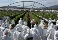 Dragón celebra 90 años impulsando la productividad del campo mexicano