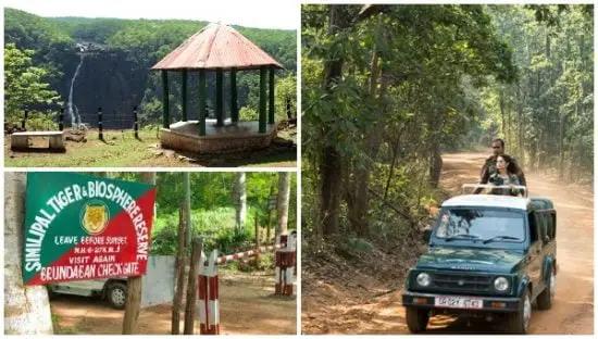 Odisha’s Similipal Tiger Reserve Reopens For Visitors; Check New Rules & Timings