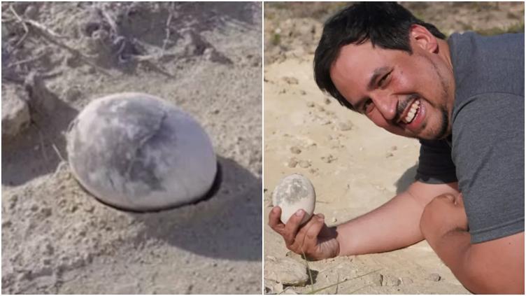 Encontraron en Argentina huevo de dinosaurio de 70 millones de años