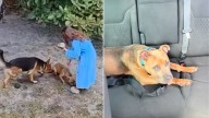 Florida Woman Discovers Puppy Secretly Dropped In Her Yard And Makes A Life