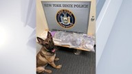 NYSP K9 finds 18 pounds of drugs in Saratoga traffic stop