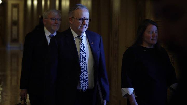 Prime Minister Anthony Albanese shoots down calls for ambassador Kevin Rudd to be sacked from post in Washington
