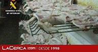 Cierran un establecimiento de productos cárnicos en Hellín por no tener licencia ni cumplir con normas sanitarias