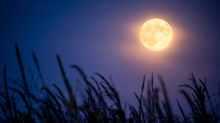 Tonight’s October full moon will also be a harvest supermoon: Here’s what it means and the best time to see it