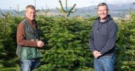 Dobbies Livingston donates Christmas trees to local community