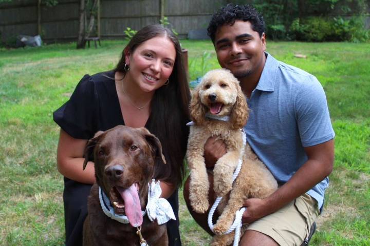 Bride and Groom, Who Weren't Able to Bring Dogs on Wedding Day, Got a Special Surprise