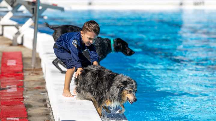 PHOTOS: Dogs dive in at annual K9 Splash Bash at Westside Park