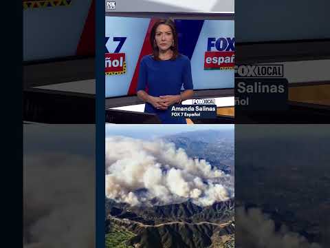 🔥Sospechoso del incendio de Pacific Palisades arrestado por el gobierno federal.🚔