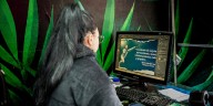 Así puede acceder a los más de 600 cursos gratis disponibles en la Academia Atenea en Bogotá: solo necesita estar conectado a Internet