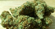 ¡Insólito! La policía de Maryland busca voluntarios para fumar marihuana frente a policías