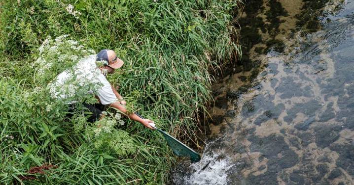 Linn County is completing 4 water studies. What are they all for?