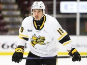 Sarnia Sting say goodbye to import Ruslan Karimov