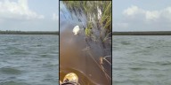 Cedar Key leaders investigate cause of fish kill: ‘Aquaculture is what we do’