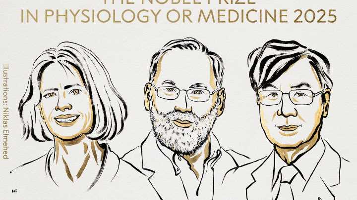 Premio Nobel de Medicina para Mary E. Brunkow, Fred Ramsdell y Shimon Sakaguchi "por sus descubrimientos sobre la tolerancia inmune periférica"