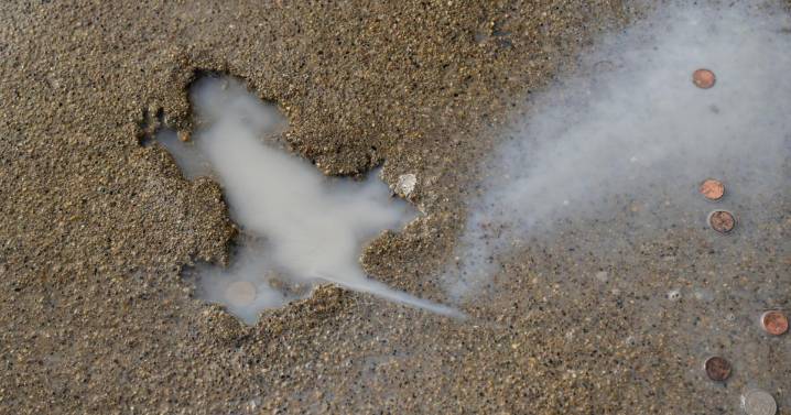Ah, rats! Researchers say some other critter likely created Chicago's 'rat hole' sidewalk landmark