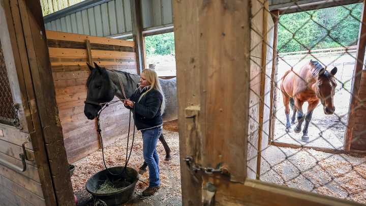 Draft changes to farm rules draws reaction from Kitsap horse owners