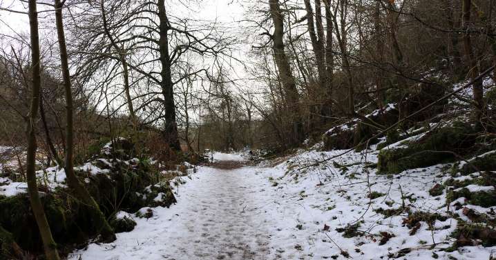 Historic Scottish woodland trail with play park near 'Scotland's Best Chippy'