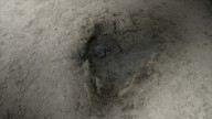 Nuevas huellas de dinosaurios descubiertas en Oxfordshire