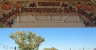 Marana Pumpkin Patch opens this weekend for its 15th season