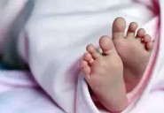 Beed govt hospital sees surge in twin births, delivers 42 sets in...