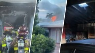 Father, son and dog escape garage on fire in Fort Lauderdale: Authorities