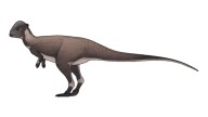 Dinosaur fossils discovered in US’ Montana reveal new species from late cretaceous period