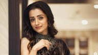 Trisha to tie knot with Chandigarh based businessman