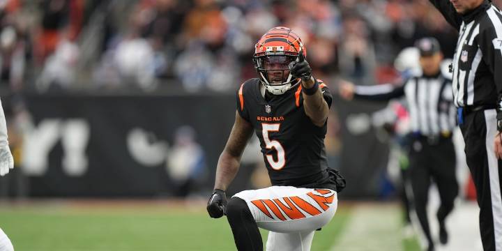 Bengals vs Lions: Game updates