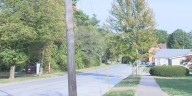 Quincy City Council approves bid to alleviate tree problem