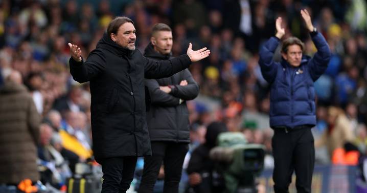 Daniel Farke press conference LIVE Leeds United boss reacts to Tottenham defeat