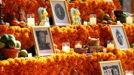 ¿Qué Significan los Elementos del Altar de Muertos? Lo Que Debes de Saber de las Ofrendas