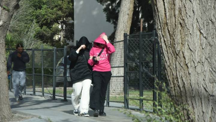 Clima en Neuquén: fuertes vientos y descenso de temperatura marcarán la jornada del jueves