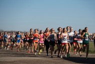 Top 25 Muskegon-area girls cross country leaderboard as of Oct. 7