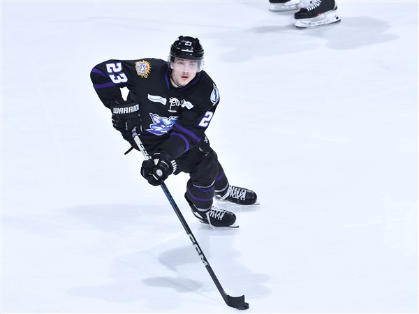 Perrysburg native Dickinson signs with the Walleye