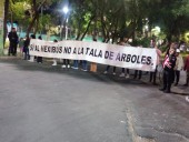 Bloqueo nocturno de vecinos que se oponen a tala de árboles en Azcapotzalco: te explicamos el caso