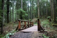 Is Silver Falls the spookiest place in Oregon? These movies filmed in the park say yes