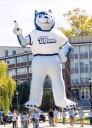 UConn celebra su Homecoming 2025 con una semana de tradición, orgullo y comunidad
