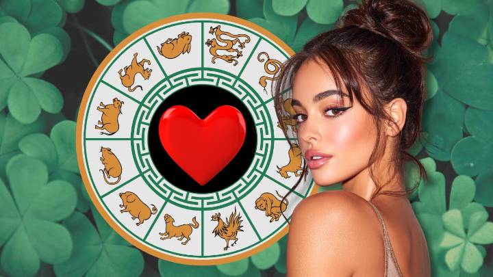 6 Chinese Zodiac Signs Attract Luck & Love On October 17, 2025