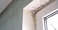 The South London council among best in England for tackling damp and mould for residents