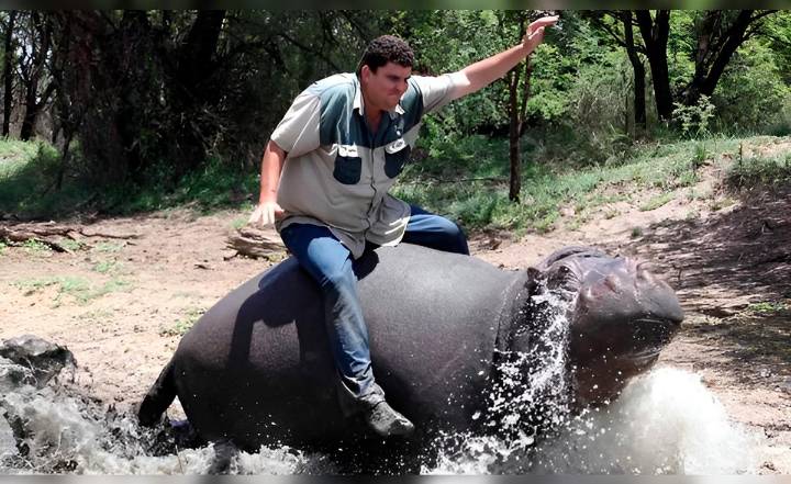 El triste final del granjero que crió a un hipopótamo como a su hijo, pero este lo atacó ferozmente hasta matarlo